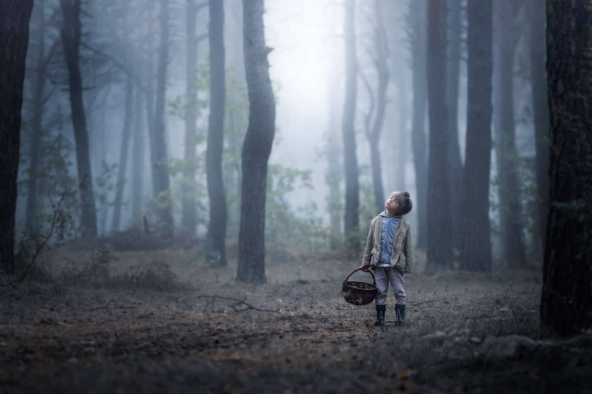 The children in the Forest photo