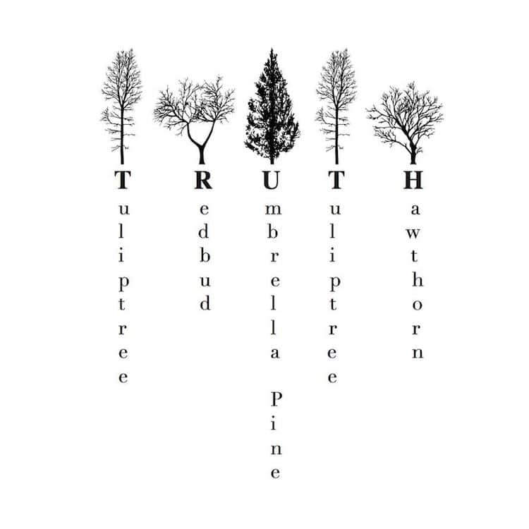 Alfabeto de árboles de Nueva York por Katie Holten