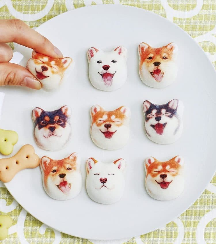 Fluffy Shiba Inu Marshmallows Capture the Sweet Side of