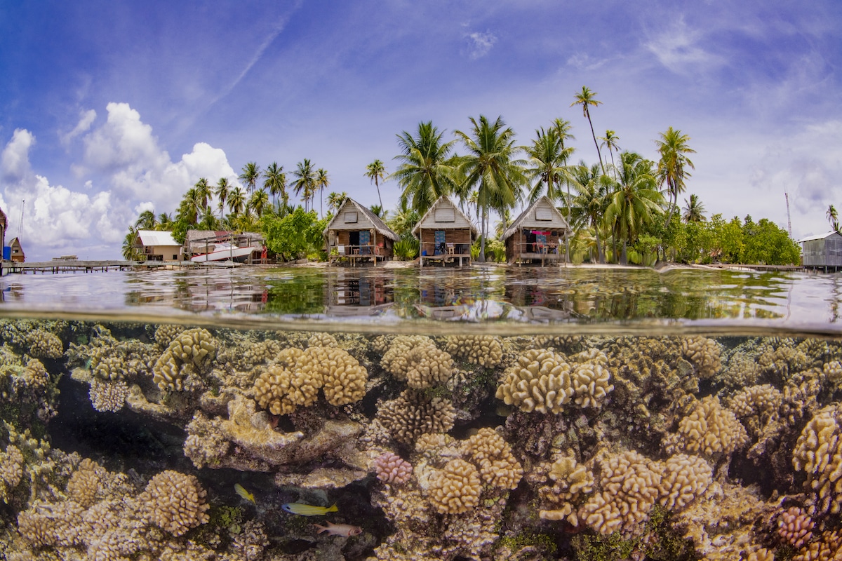 Ocean Photographs in Underwater Photographer of the Year 2019