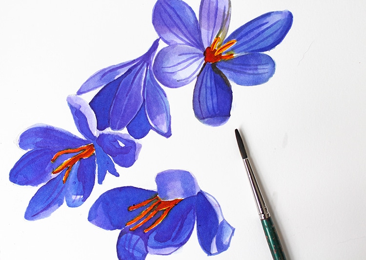 Flower Painting Step by Step
