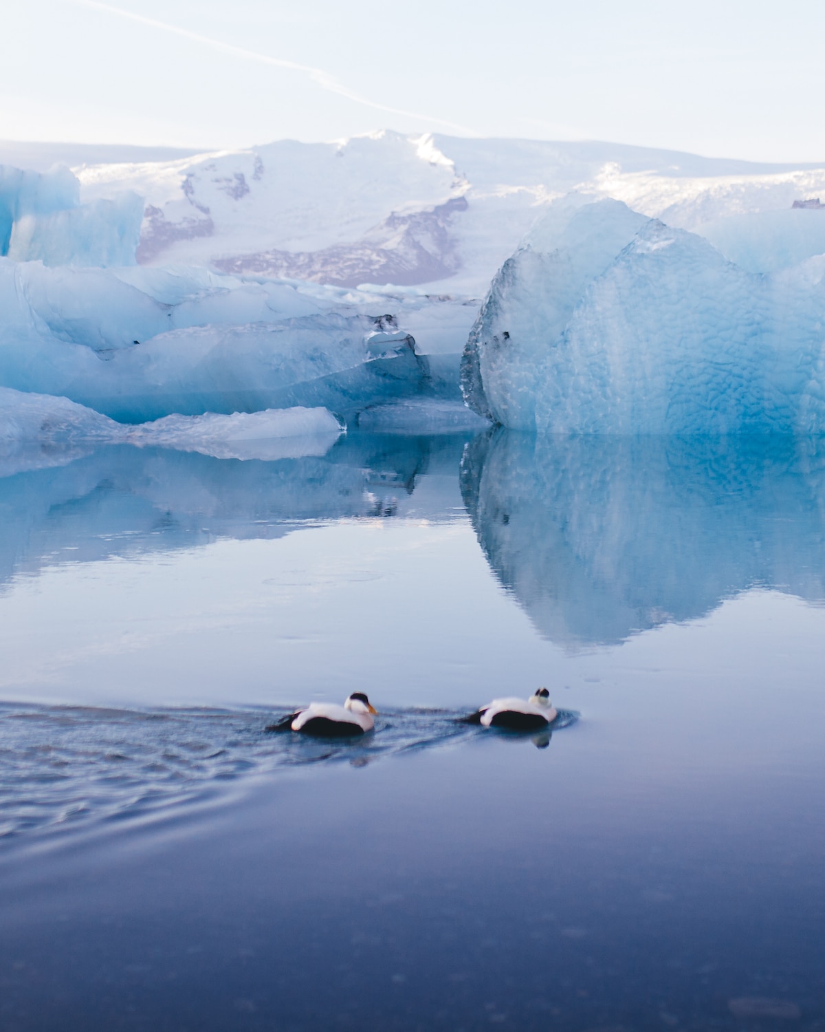 Iceberg in Iceland by Sarah Bethea