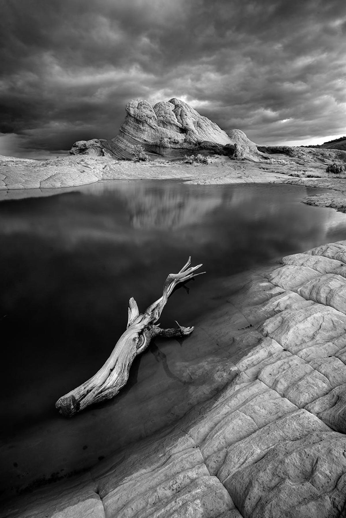 Infrared Photography Contest from Kolari Vision