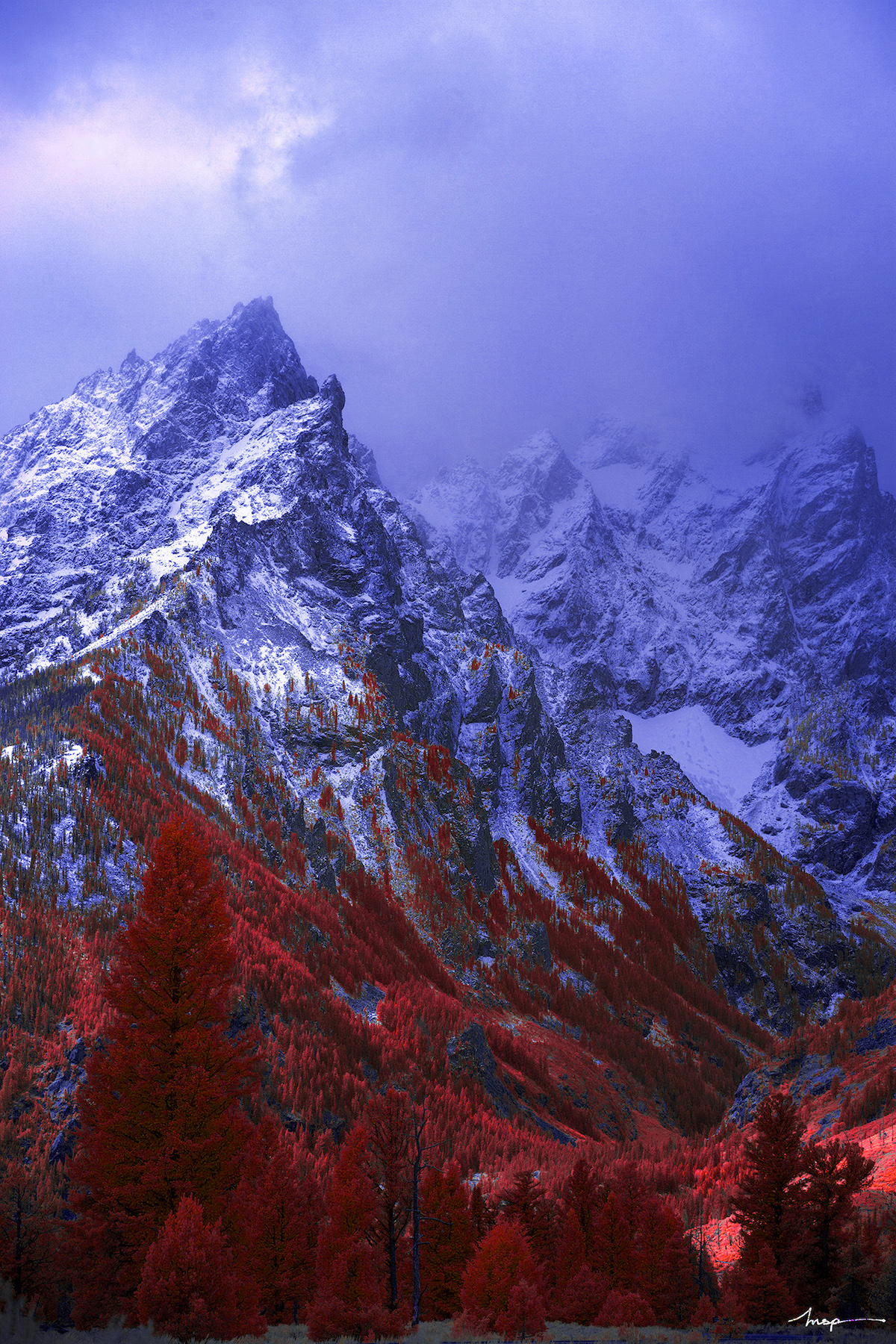 Infrared Photography Contest from Kolari Vision