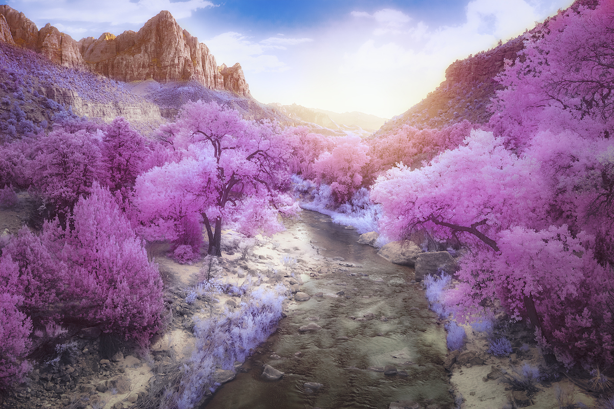 Infrared Photography Contest from Kolari Vision