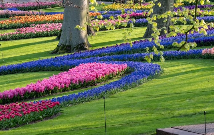 Keukenhof Garden in Lisse, Netherlands