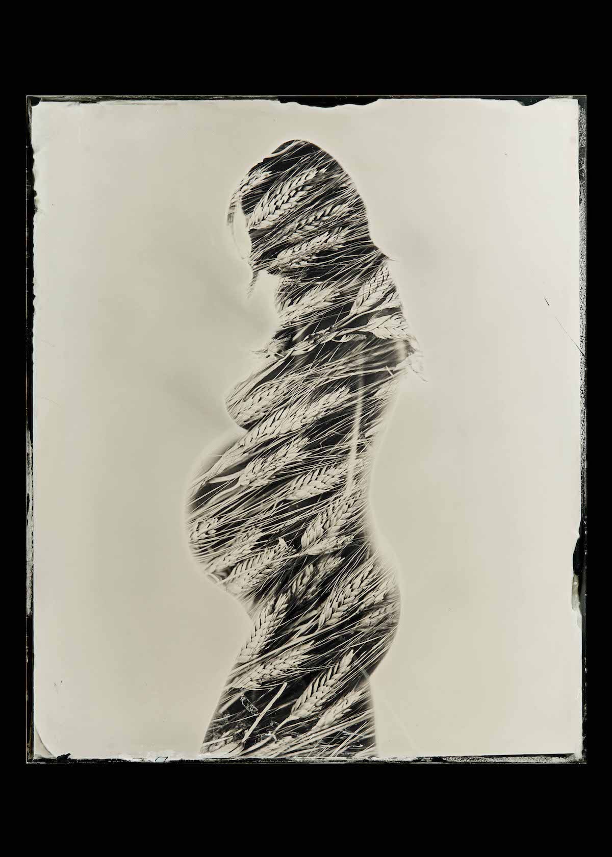 Wet Plate Competition 2019 Wet Plate Photography