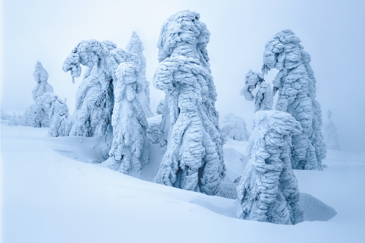Winter is Coming Photo Story by Kilian Schönberger