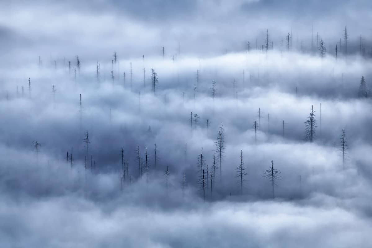 El invierno se acerca historia fotográfica por Kilian Schönberger