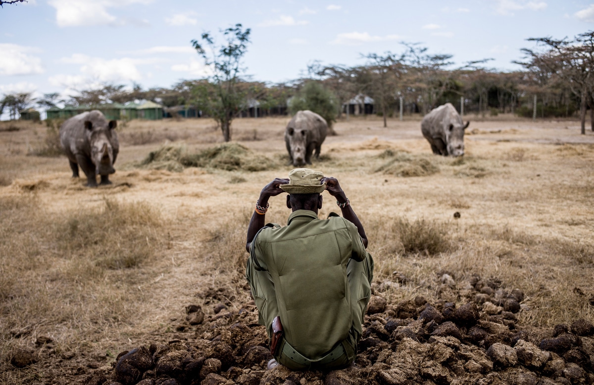 Ol Pejeta Conservancy by Justin Mott