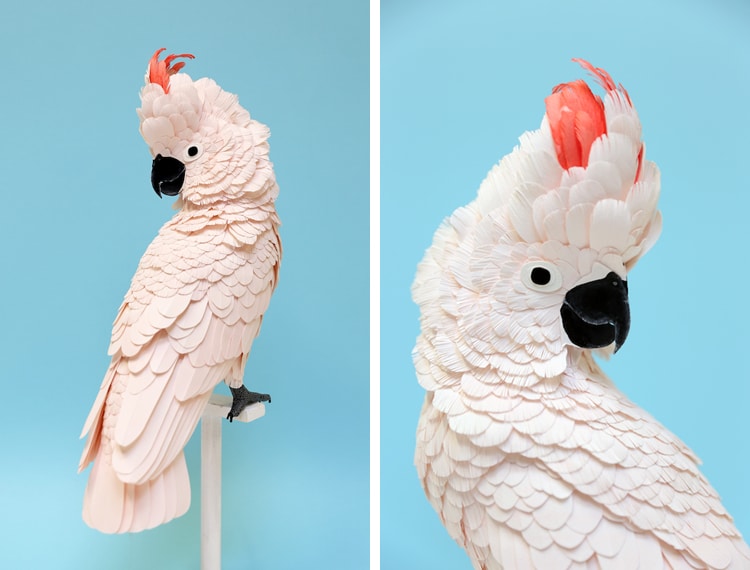 Bird Paper Sculpture by Diana Beltran Herrera
