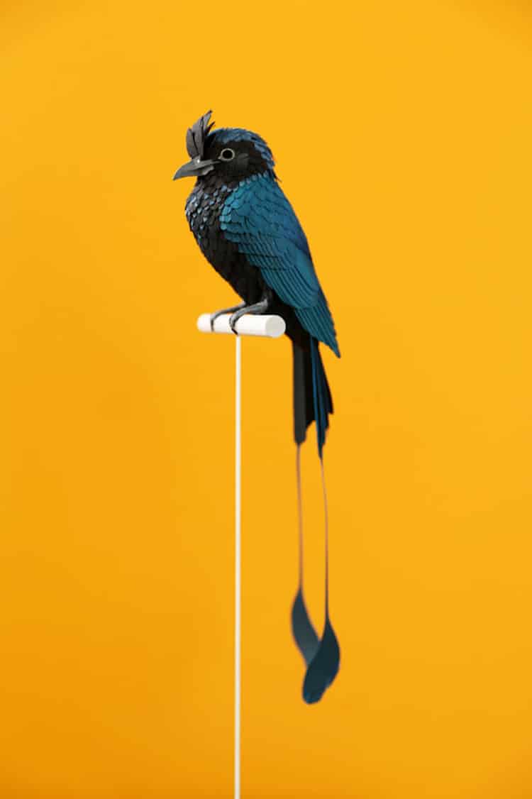 Uccelli esotici di carta riprodotti meticolosamente di Diana Beltran Herrera