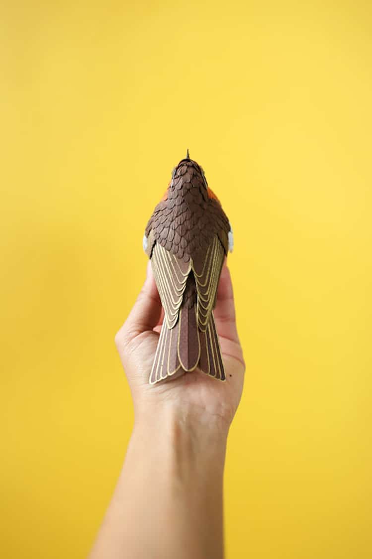 Uccelli esotici di carta riprodotti meticolosamente di Diana Beltran Herrera