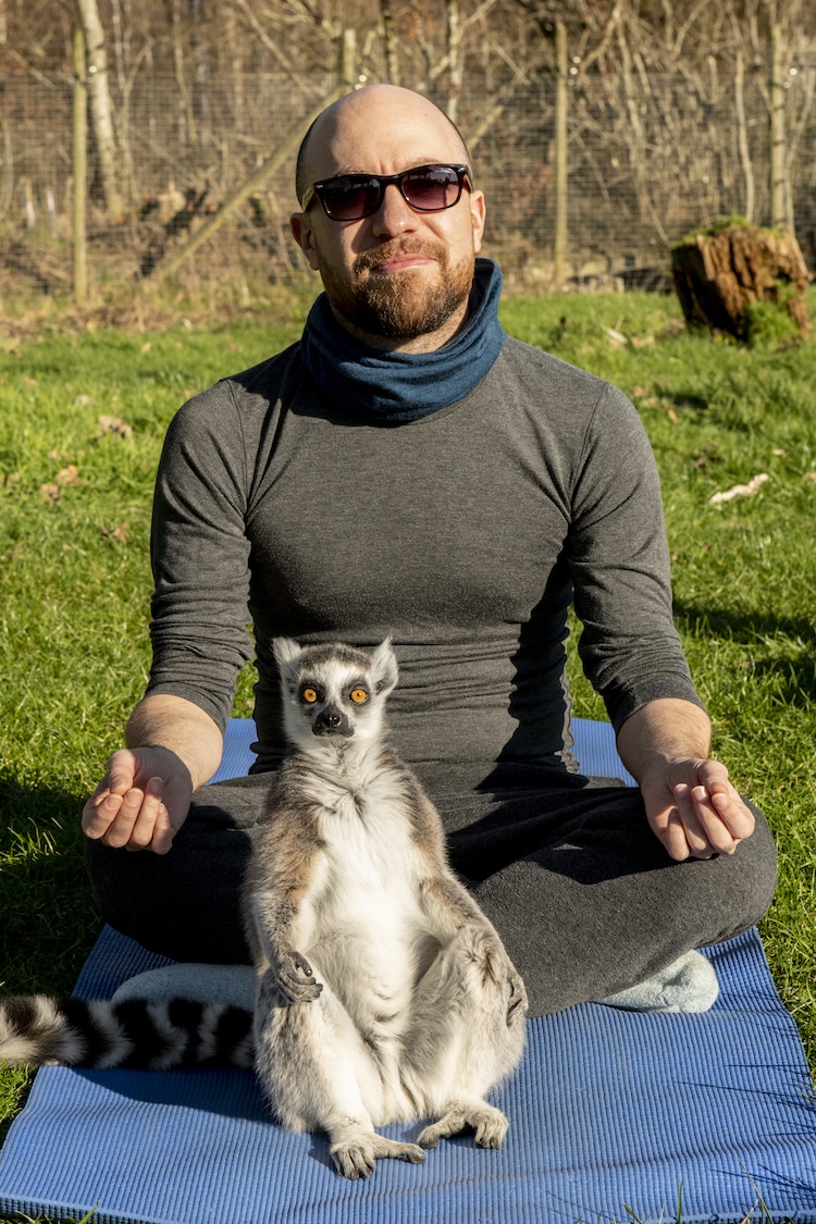 Lemur Yoga at Armathwaite Hall