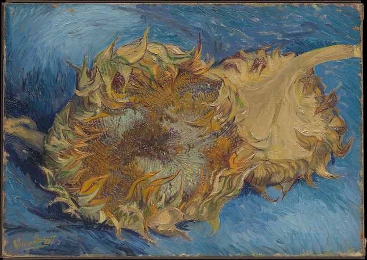 llenar El cielo bofetada La historia y significado de las pinturas de girasoles de Van Gogh