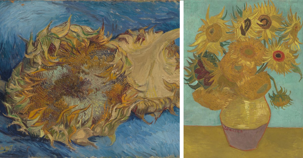 The Interesting Story of Van Gogh's Famous Sunflowers