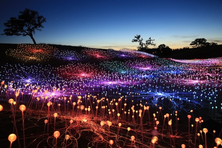 Interview Bruce Munro Discusses 'Field of Light at Sensorio' Installation