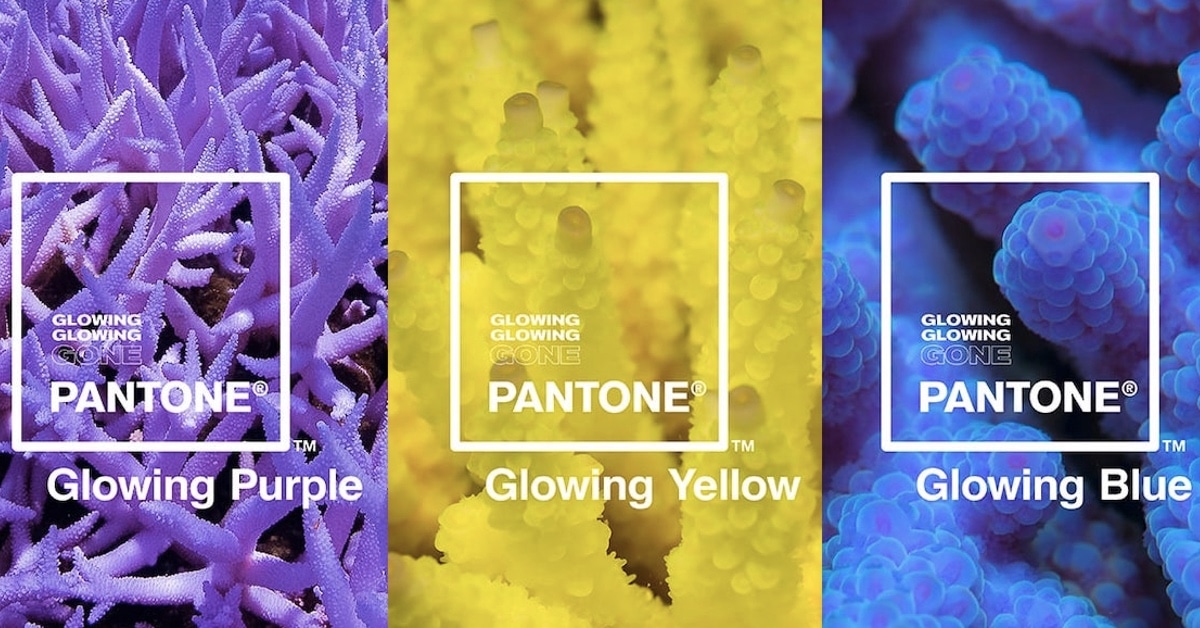 Glowing gone. Adobe pantone. Краснодар салон красоты glow. Glowing blue pantone. Парикмахерская в аэропорту.