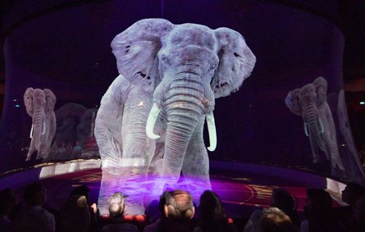 Hologram Circus Animals Roncalli Circus