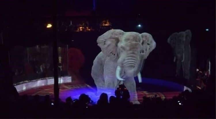 Hologram Circus Animals Roncalli Circus