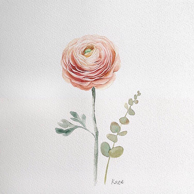 dibujos de flores por Kate Kyehyun Park