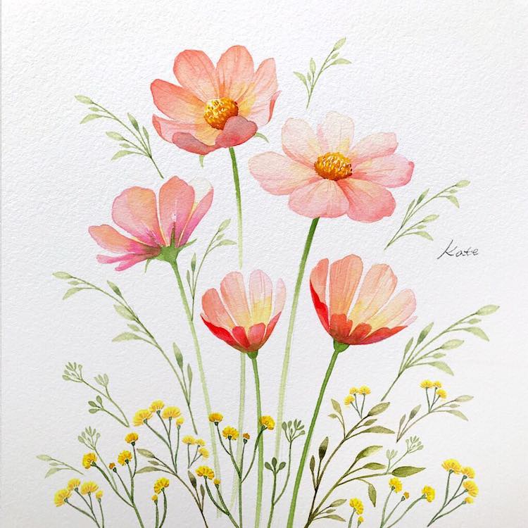 dibujos de flores por Kate Kyehyun Park