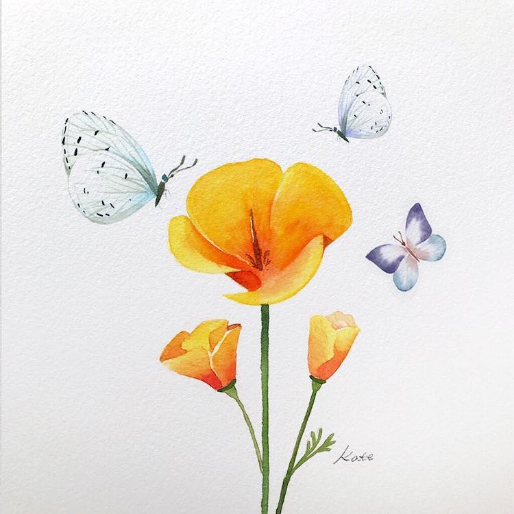 Featured image of post Easy Pencil Drawings Of Flowers And Butterflies With Colours : Flowers watercolor painting, watercolor plants, purple, herbaceous plant, watercolor leaves png.