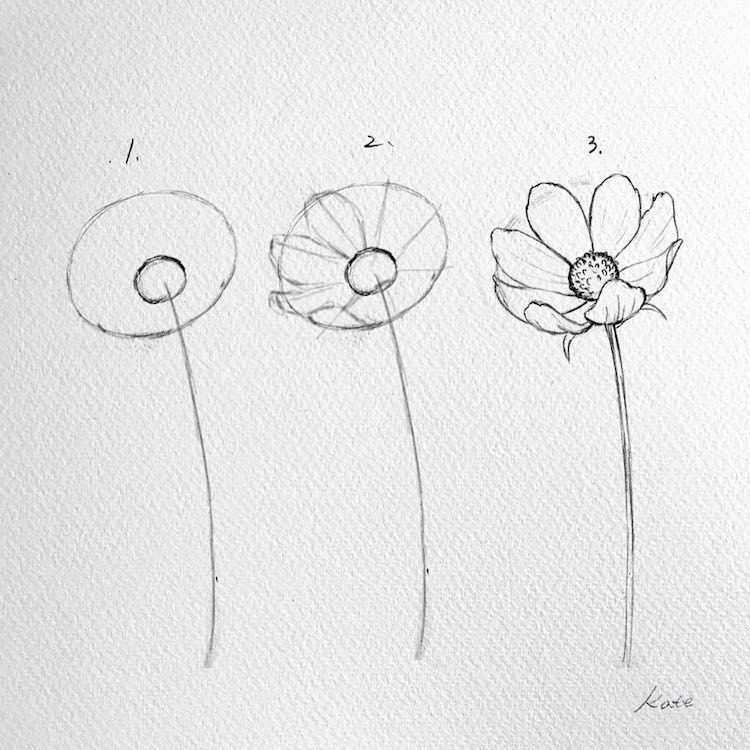 como dibujar una flor