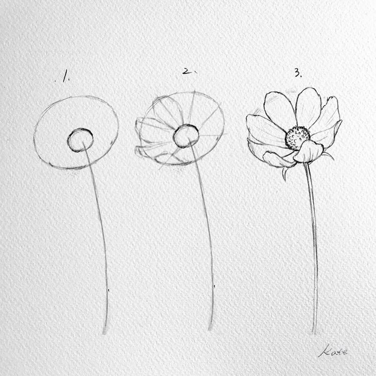 How To Draw Perfect Flowers Step By Step