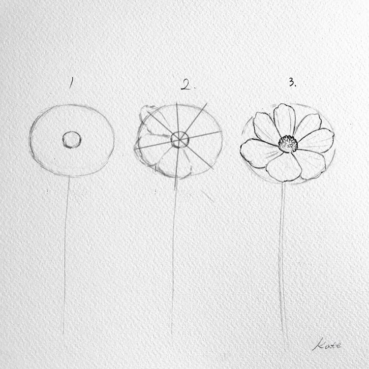 Artista revela cómo dibujar una flor en 3 sencillos pasos