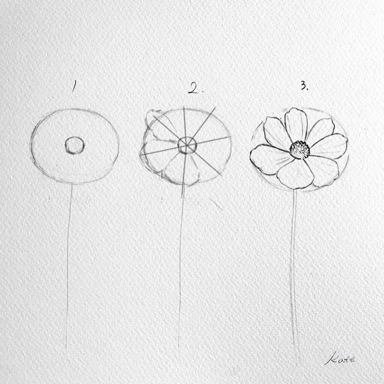 Comment dessiner des fleurs par Kate Kyehyun Park