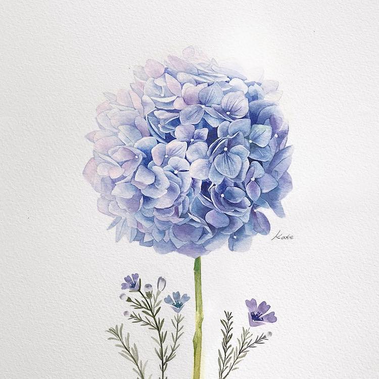 dibujos de flores por Kate Kyehyun Park
