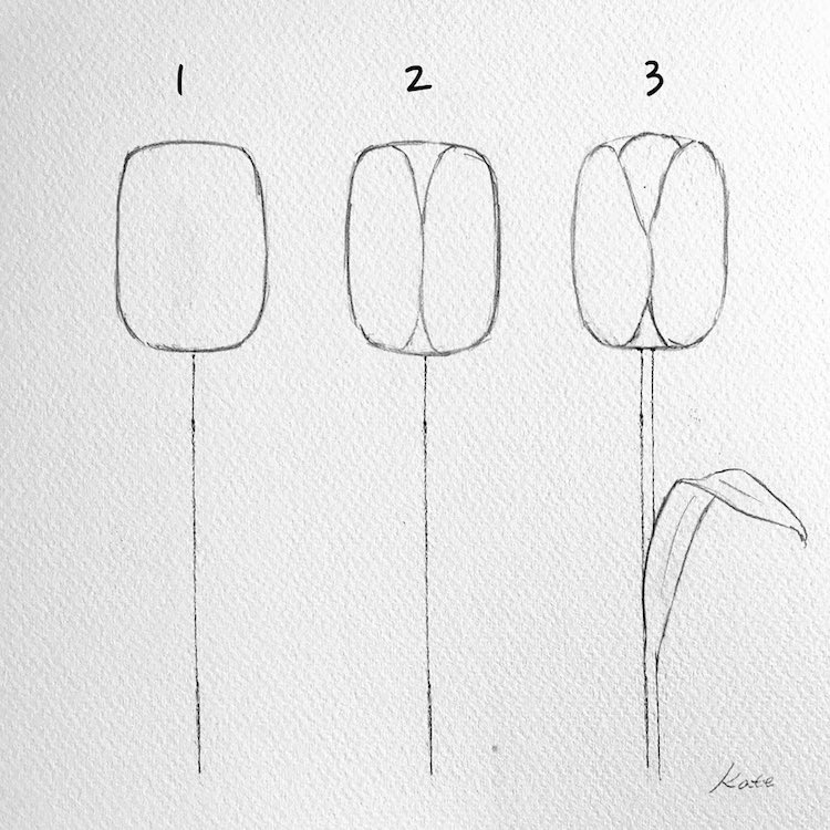 How to Draw a Flower by Kate Kyehyun Park