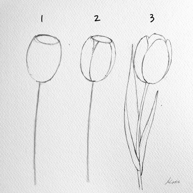 how to draw a flower step by step for beginners