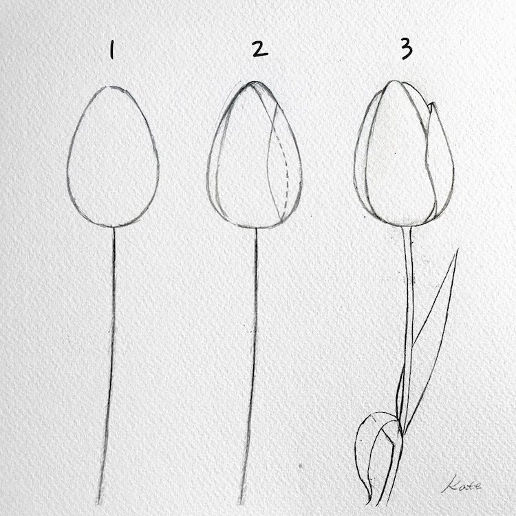  Artista revela cómo dibujar una flor en   sencillos pasos