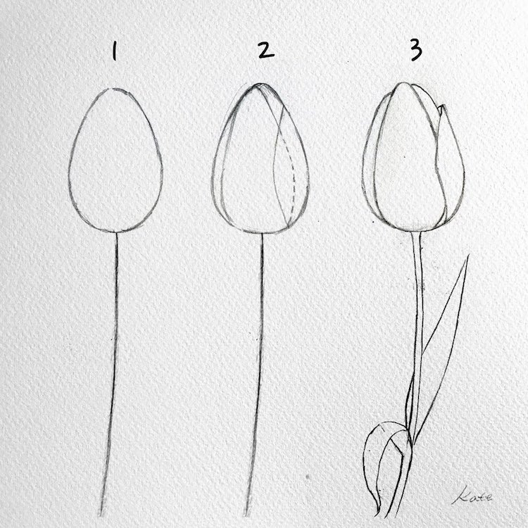 Featured image of post How To Draw Flowers Easy Step By Step For Beginners : Mark off the width and height of the picture.