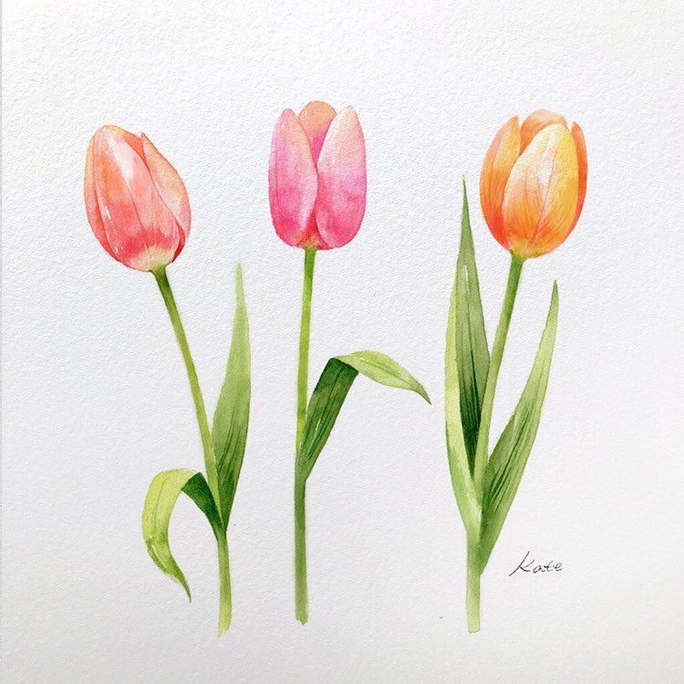 Comment dessiner des fleurs par Kate Kyehyun Park