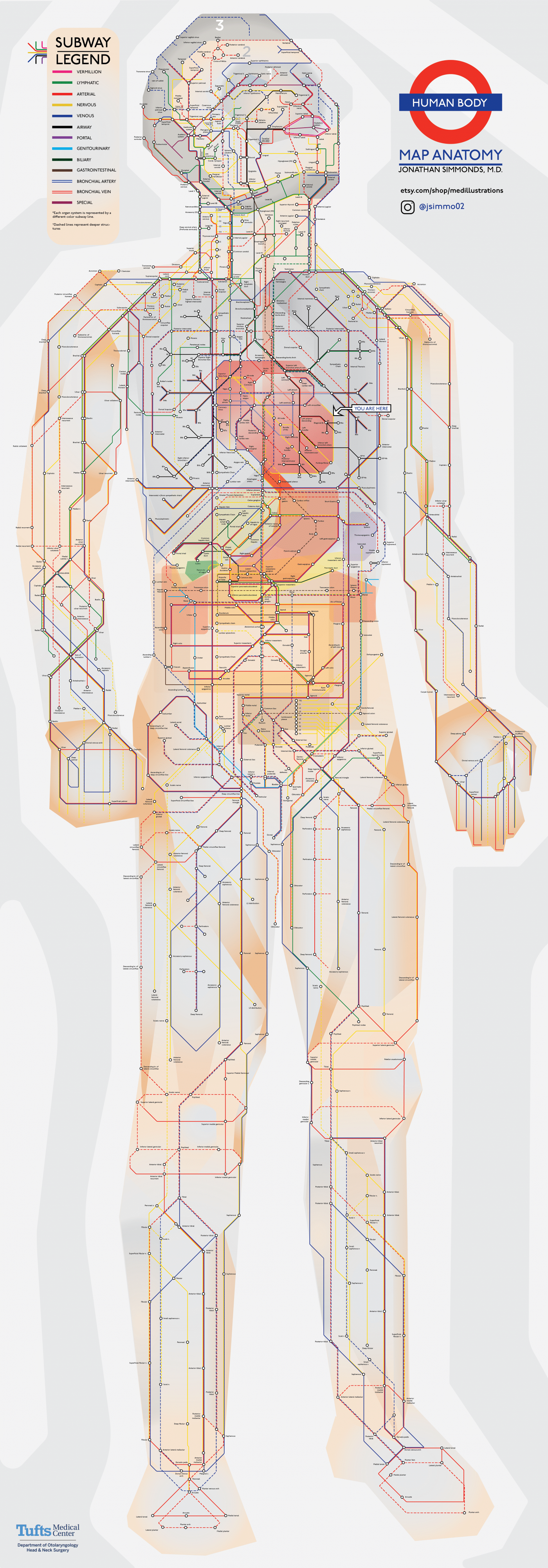 Doctor Reimagines The Human Body As A Subway Map Randy Morehall Doctor Reimagines The Human Body As A Subway Map Randy Morehall
