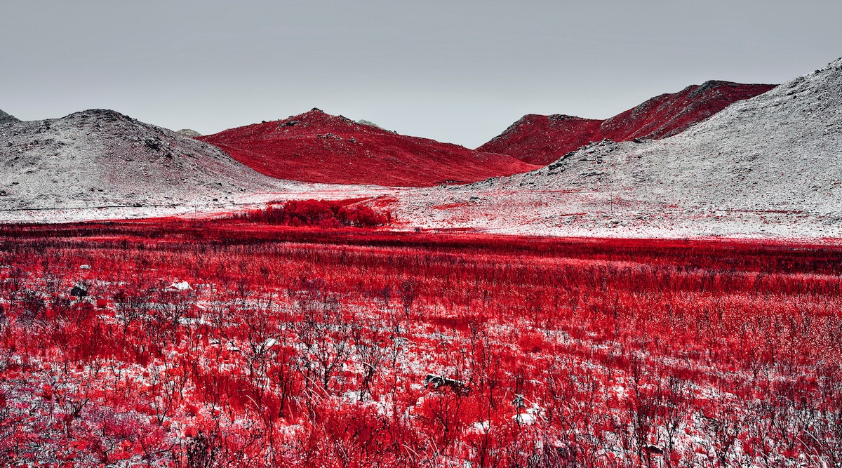 Infrared Photography by Zak van Biljon