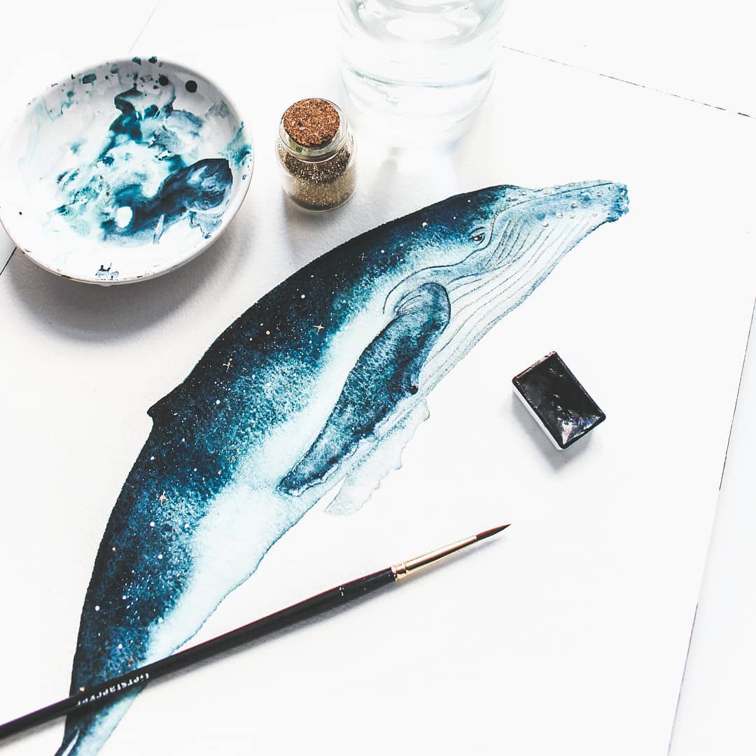 Whale Watercolor Illustrations by Canan Esen