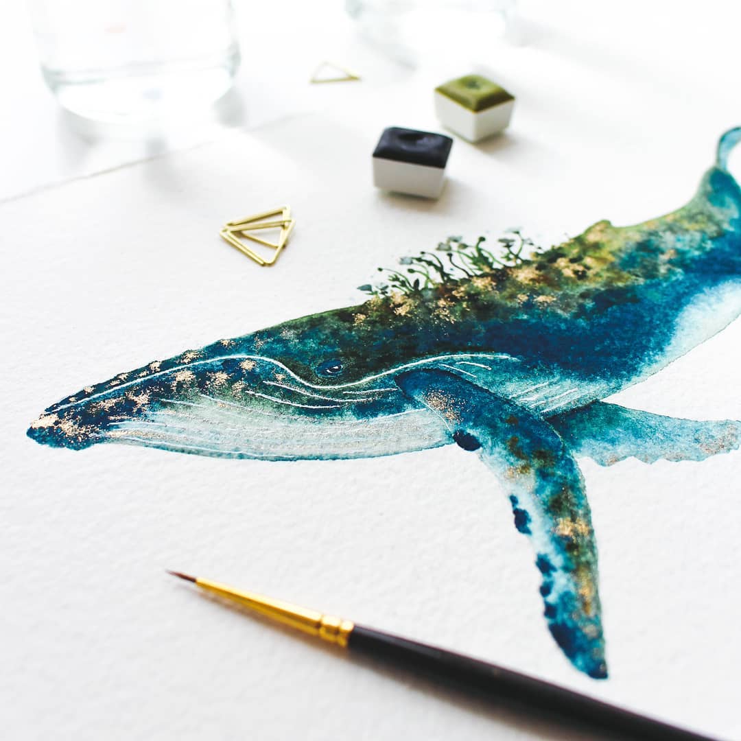 Marine Life Watercolor Illustrations by Canan Esen