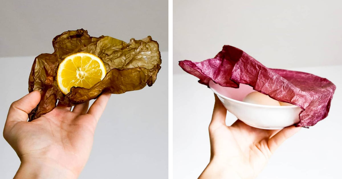 SCOBY Compostable Packaging Made Entirely From Vegetables