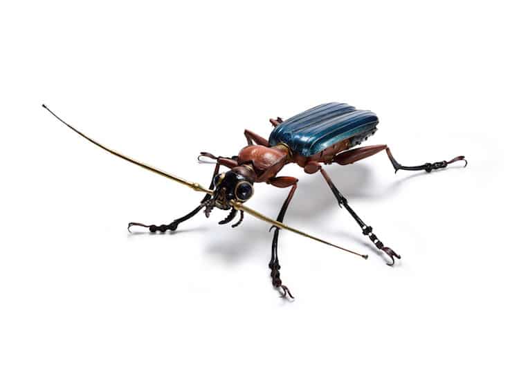 Scrap Metal Insect Sculptures by Edouard Martinet