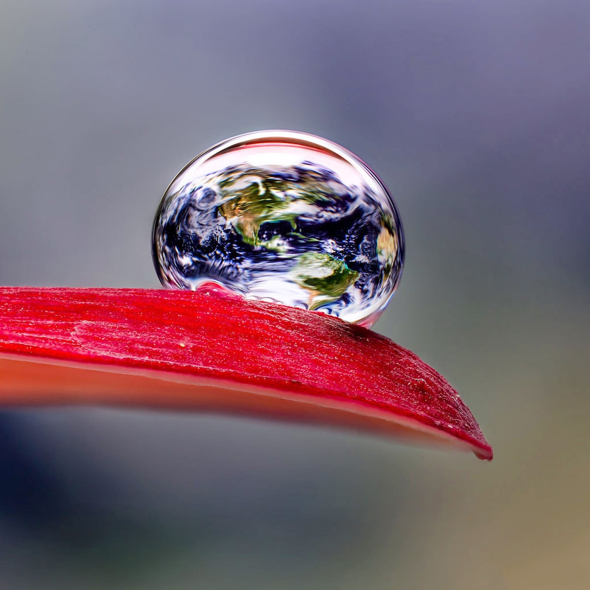 Water Droplet Macro Photography by Don Komarechka