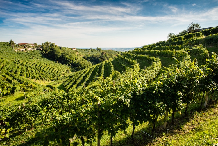 Le Colline del Prosecco di Conegliano a Valdobbiadene