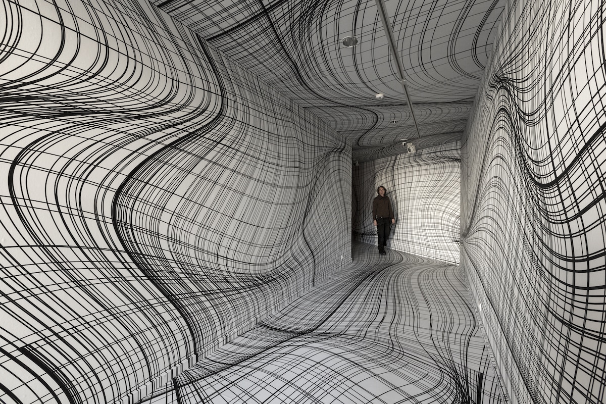 Line Art Immersive Installation by Peter Kogler