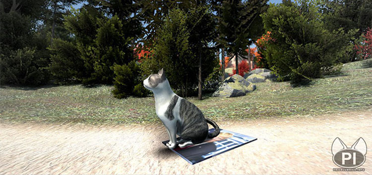 A Bellevue man is creating a video game where you play as a cat