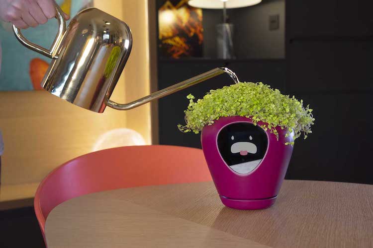 Smart Flower Pot