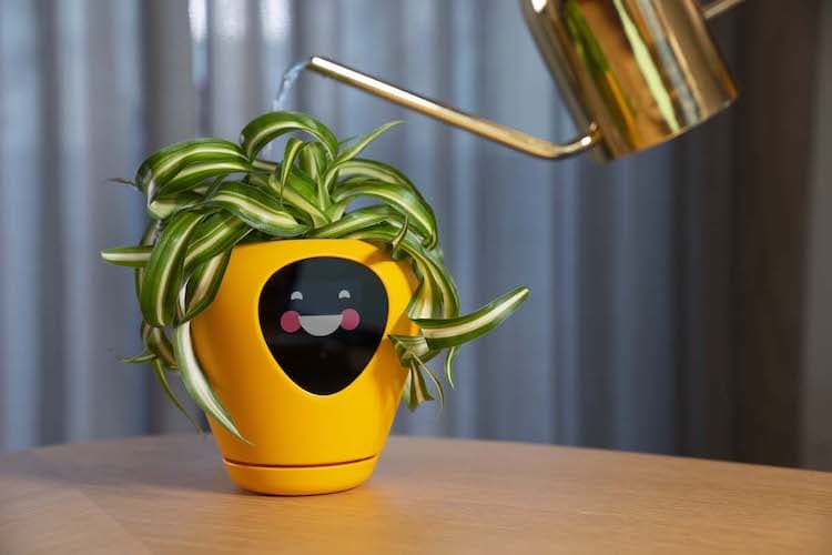 Smart Flower Pot