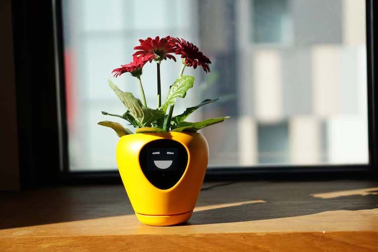 Smart Planter by Mu Design